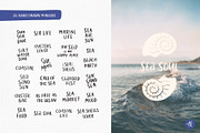 Sea Shells Whimsical Collection, an Object Graphic by Alena Koval (Thumbnail 7 of 19)