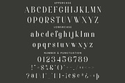 Amelia - Modern Serif Font, a Serif Font by Aqeel_Art (Thumbnail 10 of 12)