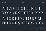 Eldritch Vanguard - Powerful Font, a Serif Font by Helotype (Thumbnail 10 of 12)