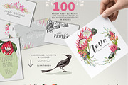 WATERCOLOR Protea Logo & Card Kit, an Illustration by Ingrid Marais Design (Thumbnail 2 of 5)