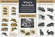 Vintage French Bunny Illustrations, an Animal Illustration by French Kiss Collections (Thumbnail 12 of 12)