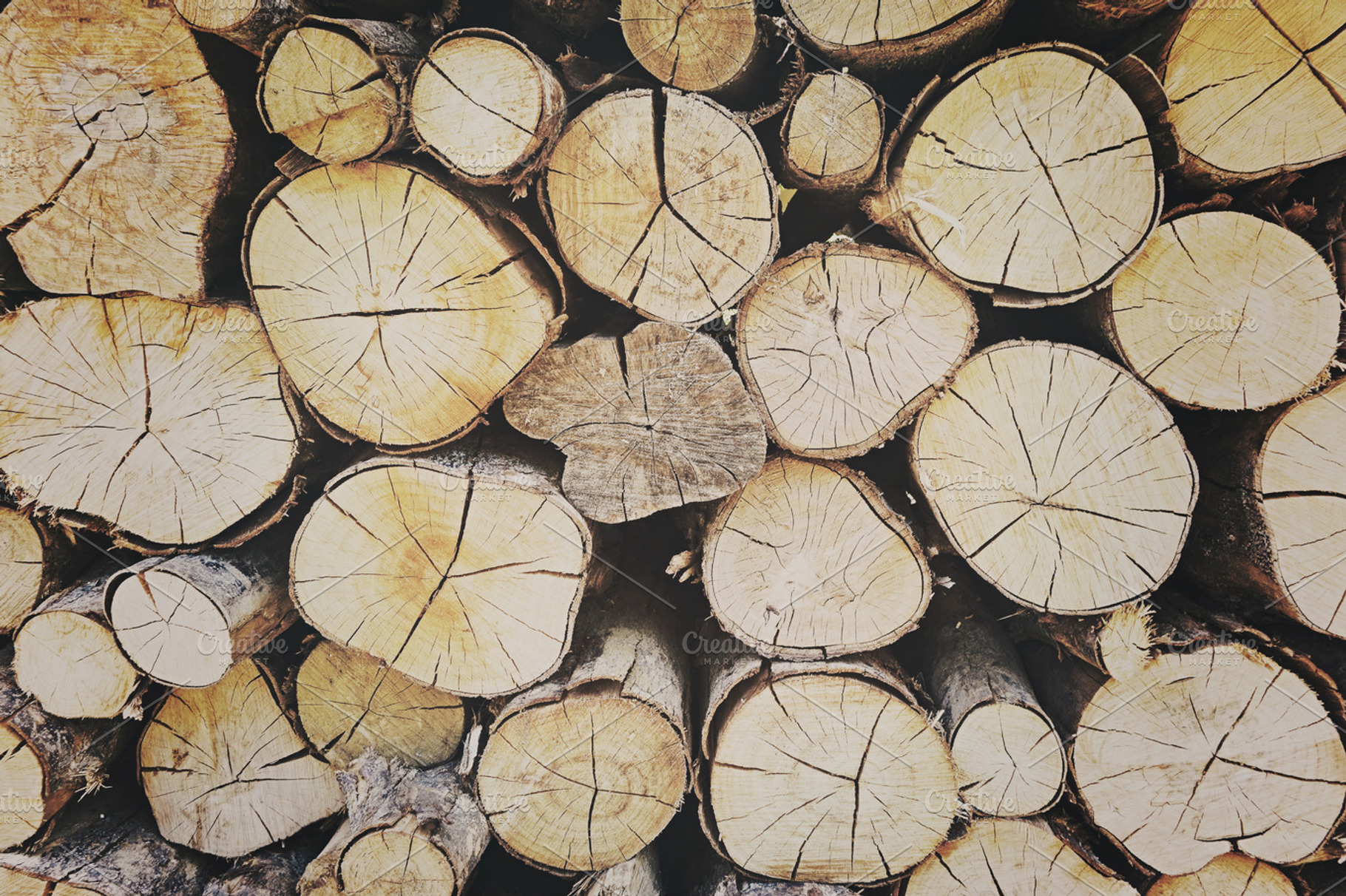 Wood Logs