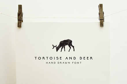 Tortoise and Deer Font Family, a Sans Serif Font by Emma Make