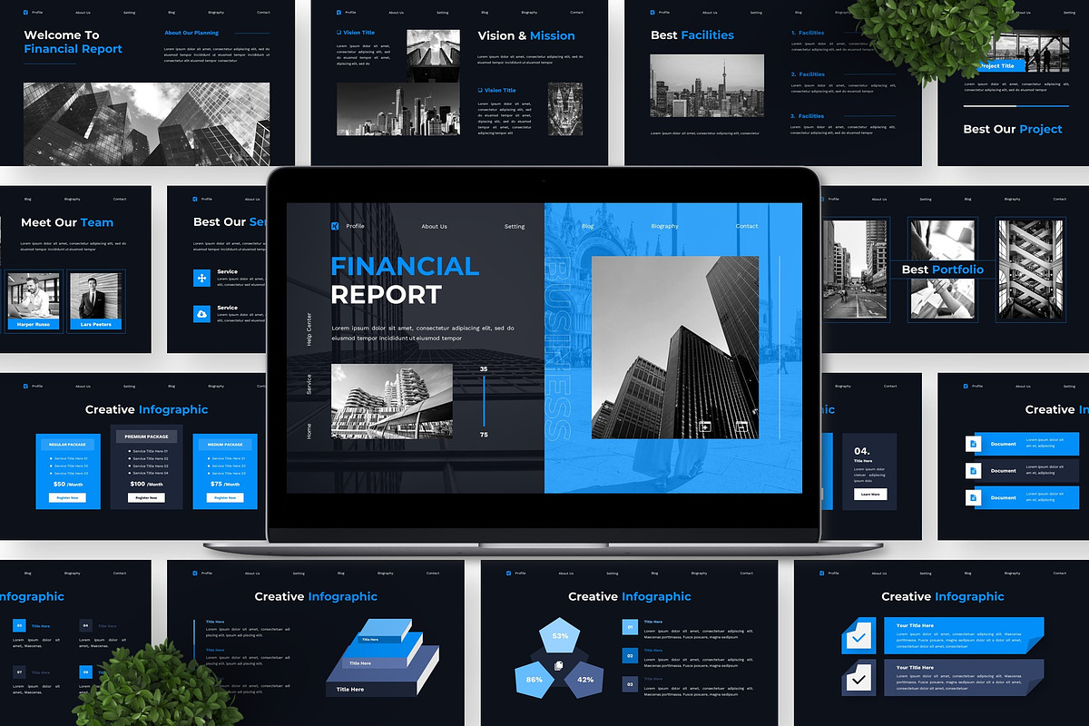 Financial Report - Business Key preview 4