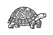 Turtle Line Art Illustration Bundle, an Illustration by Creativeshirt (Thumbnail 43 of 48)