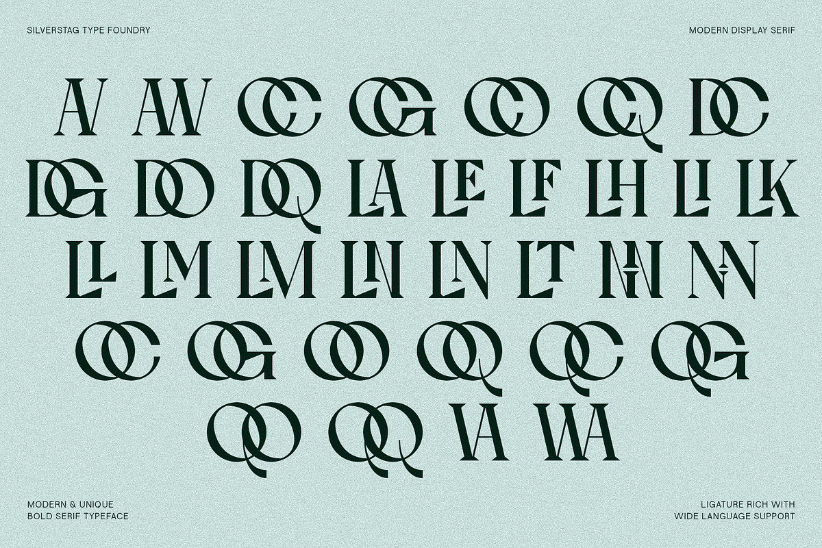 Tangled Rockaway Vintage Serif Font, a Serif Font by SilverStag Type Foundry (Photo 17 of 18)