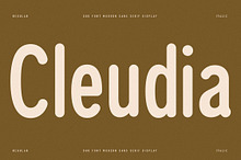 Cleudia Duo Font Sans Serif