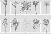 Luxury Vintage Exotic Collection, a Pattern Graphic by Alisa Fimen Design (Thumbnail 12 of 12)