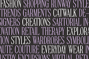 FASHIONABLE Tall Condensed Serif, a Serif Font by Blush Font Co. (Thumbnail 3 of 5)
