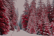 454 Infrared Fantasy Pro LUTs, a Preset Add-On by ShutterPro (Thumbnail 28 of 48)
