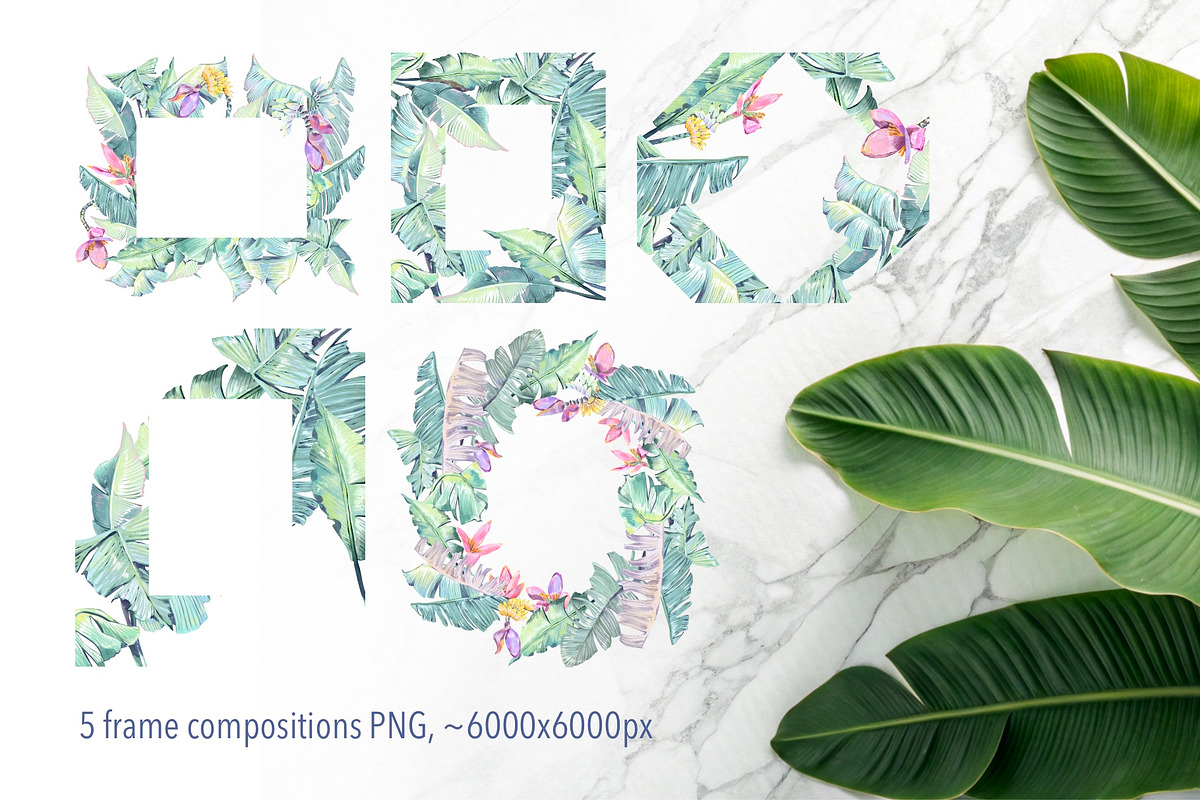 Banana blossom plants Watercolor set, an Illustration by Shabbypie (Photo 8 of 13)