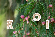 Christmas Alphabet Baubles SVG, an Object 3D Model by Coco Bloom (Thumbnail 2 of 6)
