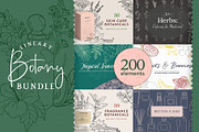 BOTANY BUNDLE - 6in1, a Food Illustration by amber&ink (Thumbnail 1 of 19)