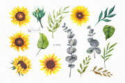 Watercolor Sunflowers Collection, an Illustration by CaraulanStore (Thumbnail 5 of 9)