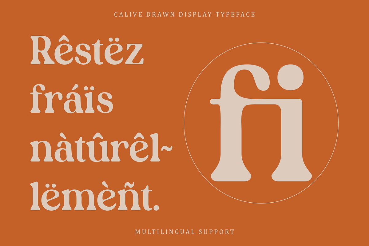 Calive Drawn, a Serif Font by Craft Supply Co. (Photo 3 of 8)