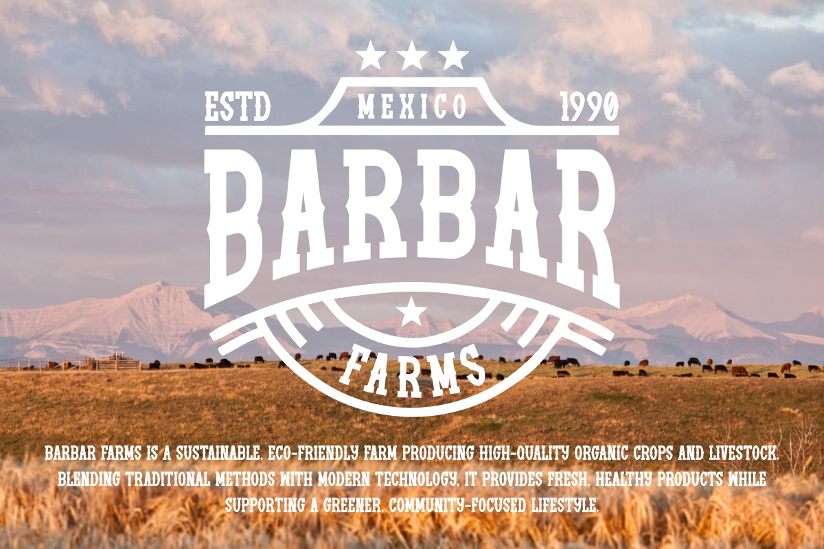Western Christmas - Bold Slab Serif, a Slab Serif Font by Pian45 Studio (Photo 3 of 7)