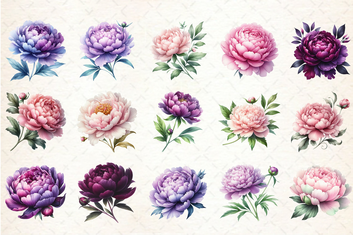 Pink & Purple Peony Flowers Clipart, an Illustration by Rose Art (Photo 2 of 5)