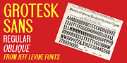 Grotesk Sans JNL, a Sans Serif Font by Jeff Levine Fonts (Thumbnail 1 of 5)