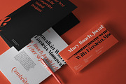 Dalglish Typeface, a Serif Font by Damelev (Thumbnail 3 of 13)