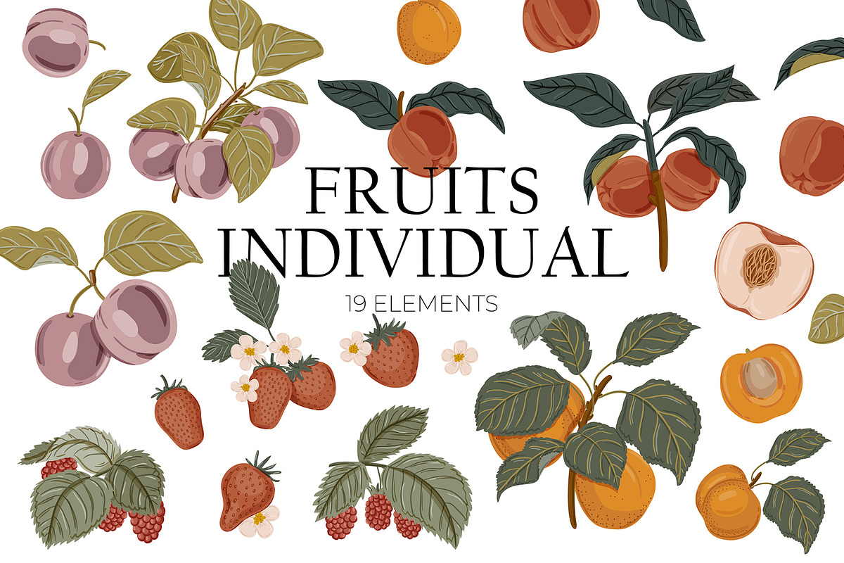 Seasonal Botany BUNDLE, an Object Graphic by Ruslana Lubenets (Photo 51 of 100)