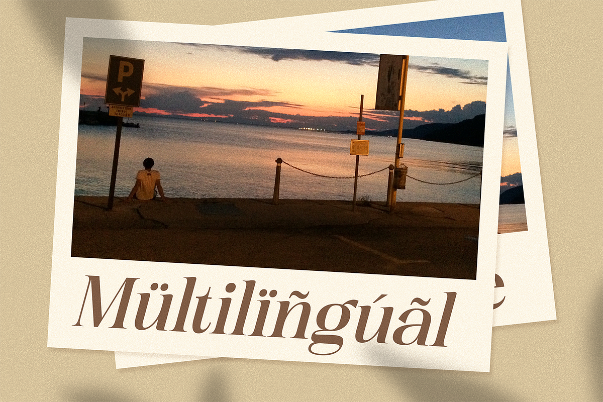 Dactine Classic Beauty Serif, a Serif Font by Portocraft (Photo 8 of 10)