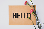 HAPPINES DAYS, a Serif Font by FreshTypeINK (Thumbnail 3 of 8)
