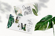 Watercolor Tropical Leaves, a Decorative Illustration by Damian Roh (Thumbnail 13 of 19)