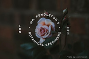 Heart of the Land, a Font by McLetters (Thumbnail 7 of 8)