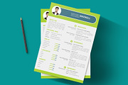 Professional Cv Resume, a Resume Template by designvillage (Thumbnail 4 of 12)
