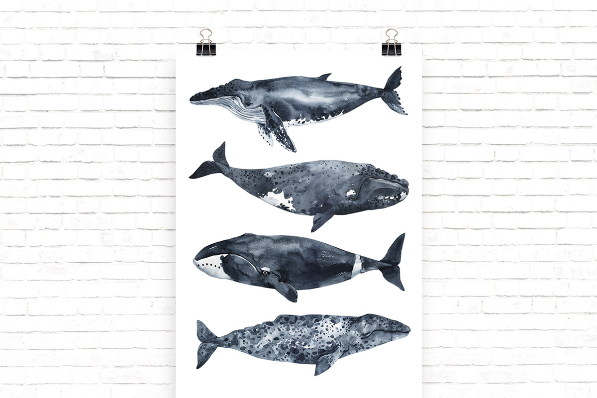 In love with watercolor Ocean, an Animal Illustration by KatBranchArt (Photo 5 of 7)