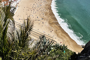 Panoramic view of Nazare beach with lush vegetation from a high vantage point, a Photo by AS photostudio