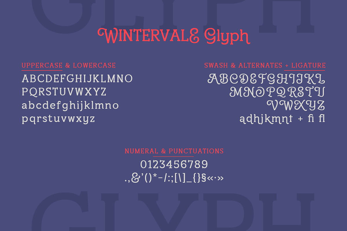 Wintervale – Stylistic Slab Serif, a Slab Serif Font by Almarkhatype (Photo 11 of 13)