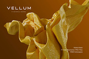 Vellum: 77 Material Textures, a Texture Graphic by RuleByArt (Thumbnail 4 of 14)