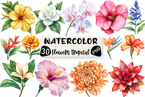 Watercolor Flowers Tropical PNG, an Illustration by Black Bird Studio