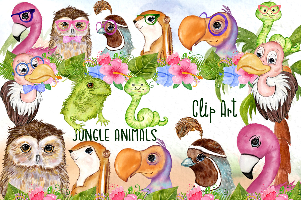 Tropical birds Cute Animals, an Animal Illustration by vivastarkids (Photo 1 of 7)