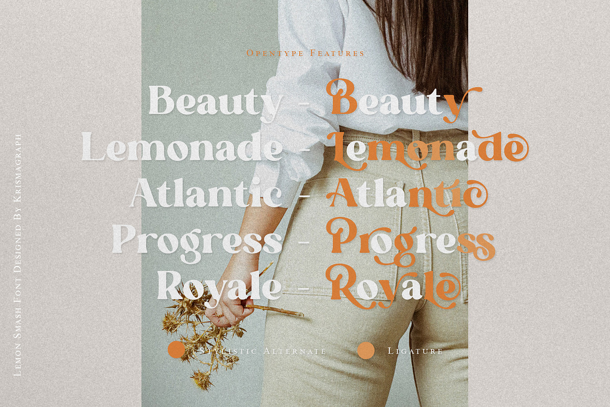 Lemon Smash | Modern Retro Serif, a Serif Font by Krismagraph (Photo 12 of 14)