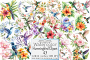Watercolor Hummingbird Clipart, a Seasonal Illustration by Design Market (Thumbnail 1 of 5)