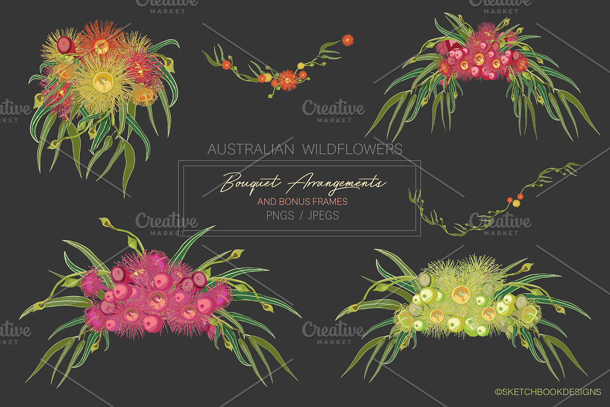 Australian Wild Flowers Collection, an Illustration by Sketchbook Designs (Photo 3 of 10)