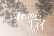 Animated Shadow & Light Overlay, a Texture Graphic by ana & yvy (Thumbnail 4 of 12)