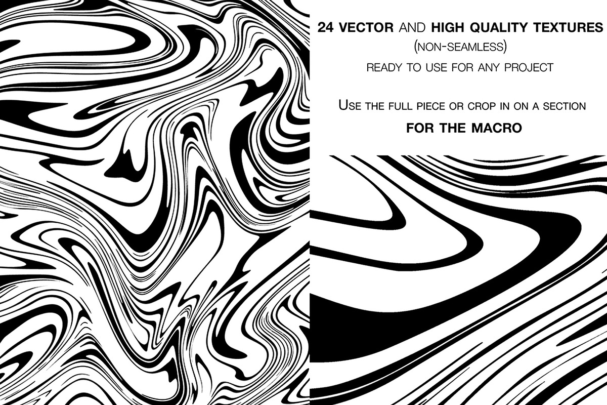 ZEBRA FLUID Collection, a Background Graphic by ViktoriaLapshyna (Photo 2 of 9)