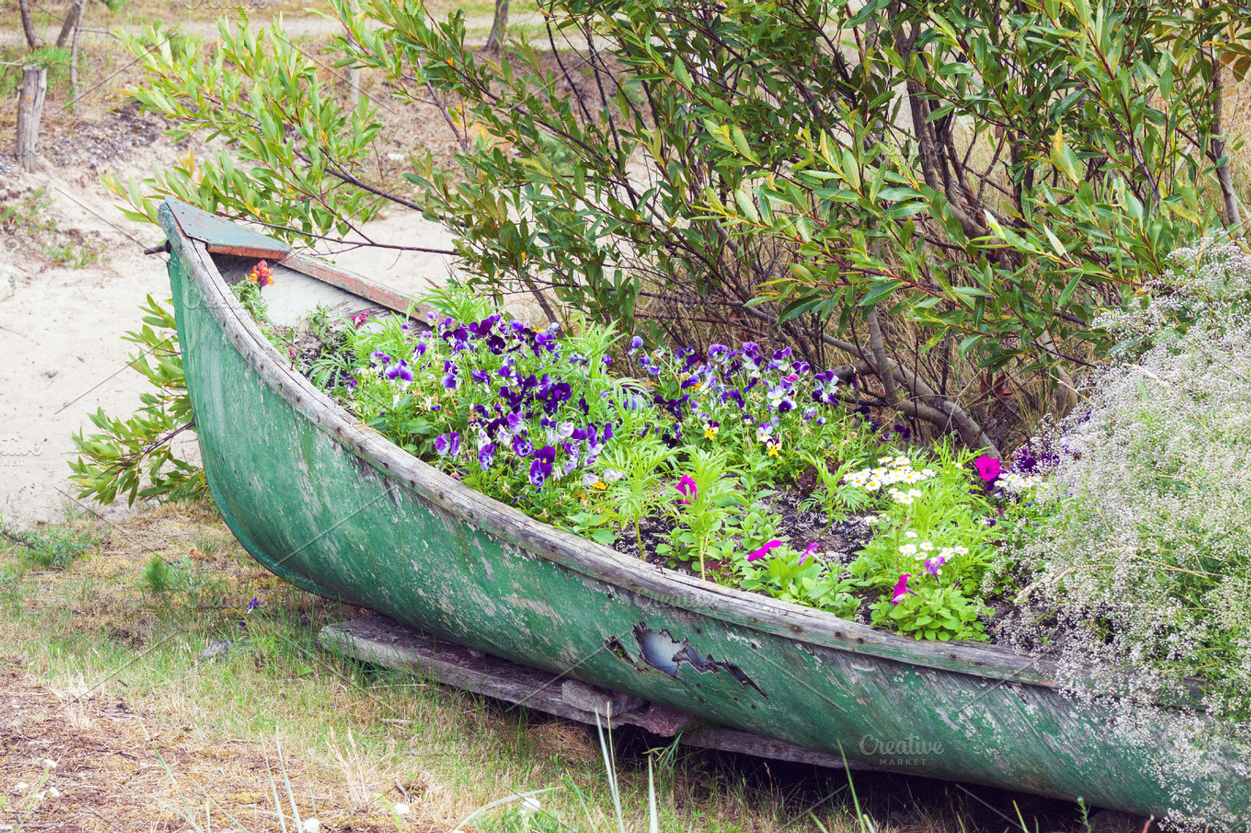 Old boat with flowers, a Nature Photo by BOOCYS