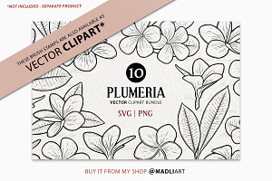 Plumeria Procreate Brush Stamps