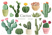 Watercolor Cactus, Succulent Clipart, an Object Illustration by ArtGiftsStudio (Thumbnail 1 of 4)