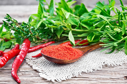 Peppers red powder in wooden spoon, a Food & Drink Photo by rezkrr