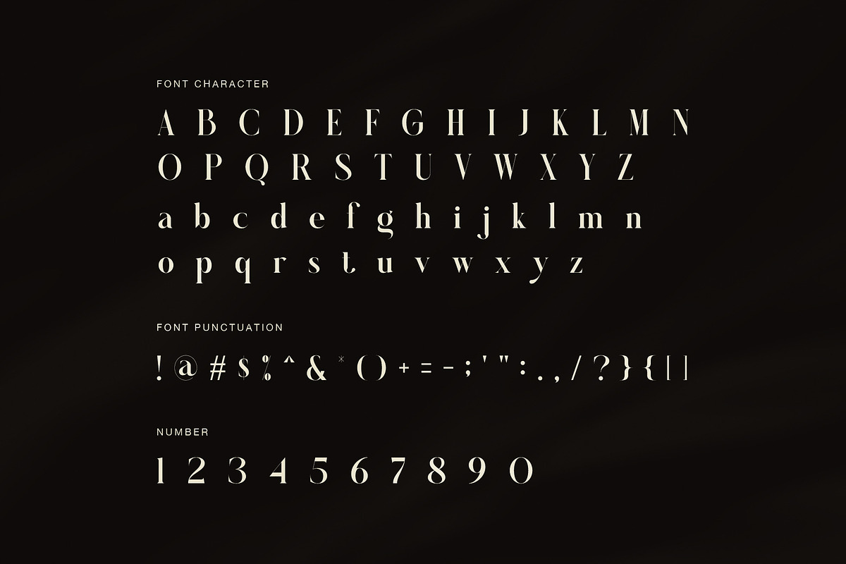 Felina Elegant Serif Font, a Serif Font by Graphicxell (Photo 7 of 8)