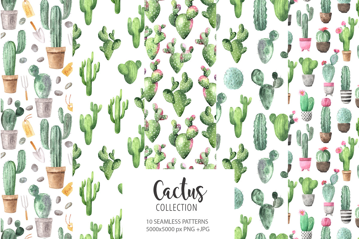 Watercolor Exotic Cactus Collection, a Texture Illustration by LarysaZabrotskaya (Photo 6 of 11)