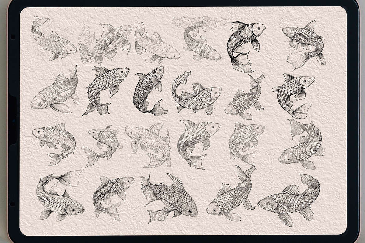 63 koifish Coloring   brush stamp, a Brush Add-On by TaKong Magics (Photo 2 of 4)