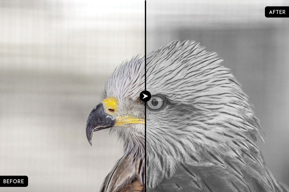 Sepia Collection Lightroom Presets preview 8