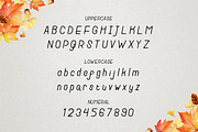 New Autumn, a Font by TGIF.STD (Thumbnail 2 of 5)