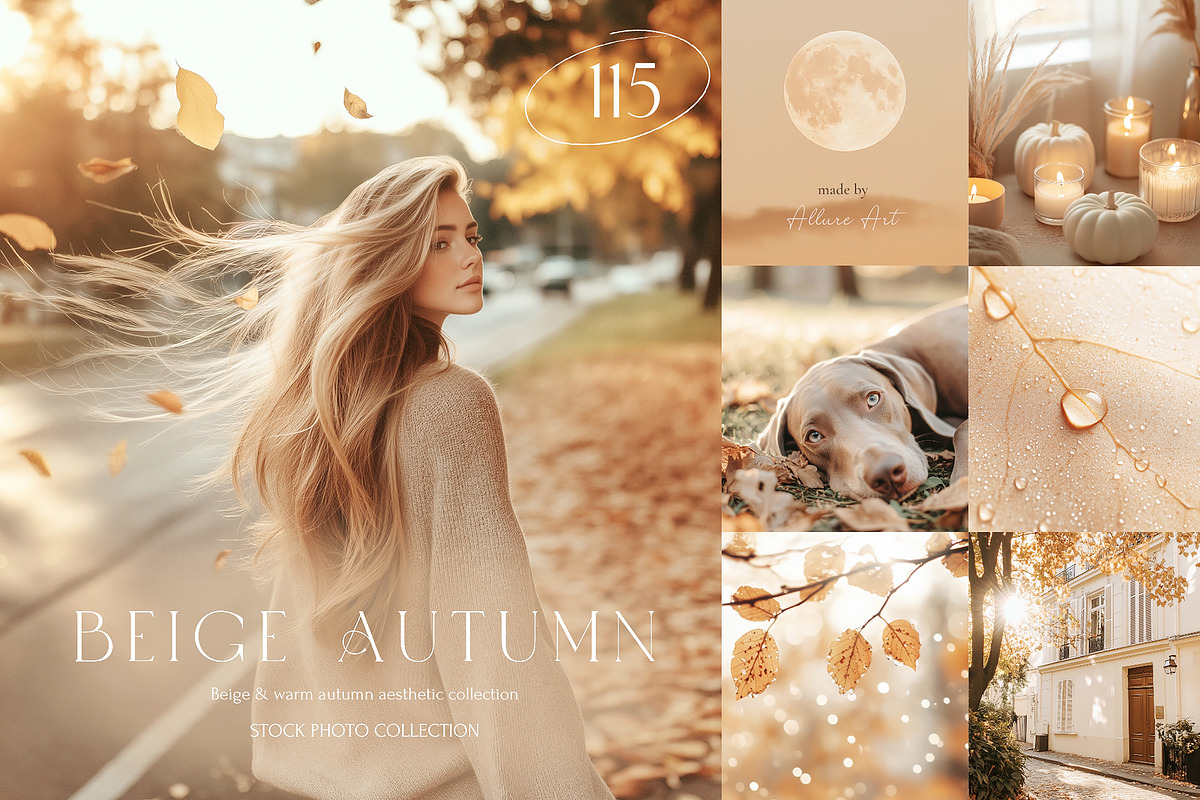 115 Beige Autumn Styled Stock Photos, a Photo by Allure Art (Photo 1 of 30)